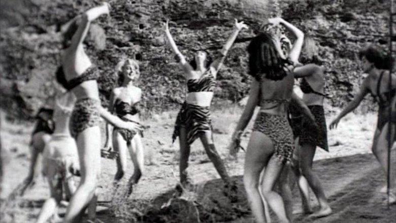 Wild Women image