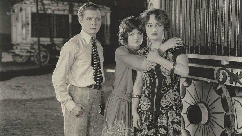 Spangles image