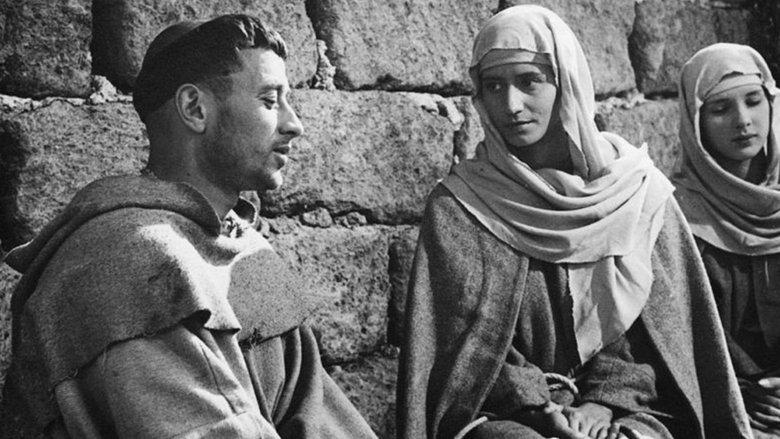 The Flowers of St. Francis image