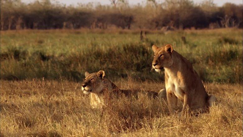 Africa's Predator Zones image
