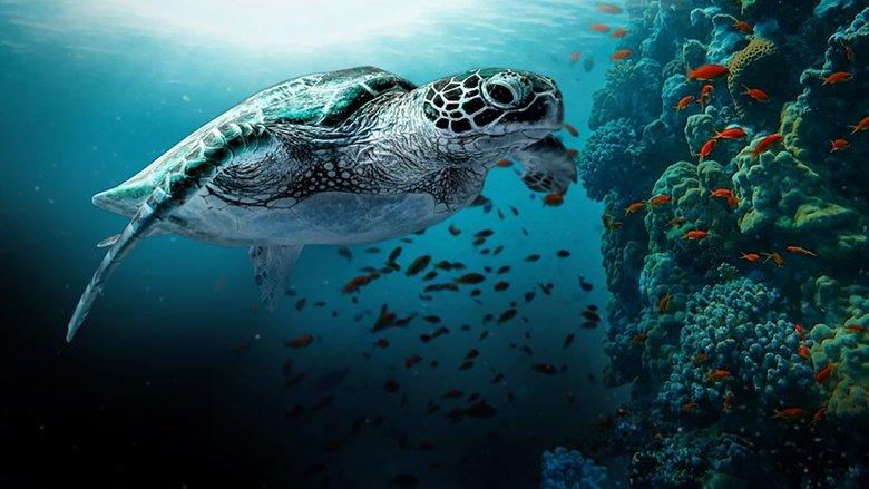 The Great Barrier Reef: A Living Treasure image
