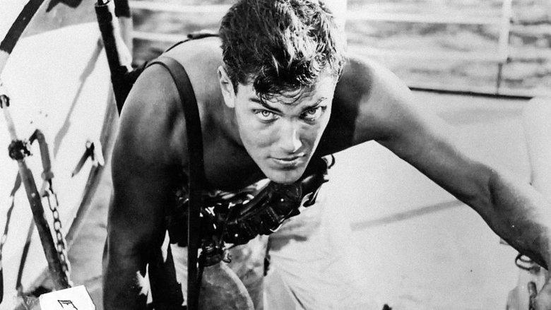 Sailor of the King image
