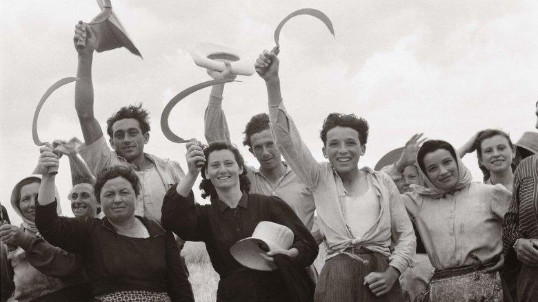 A History of the European Rural Life image