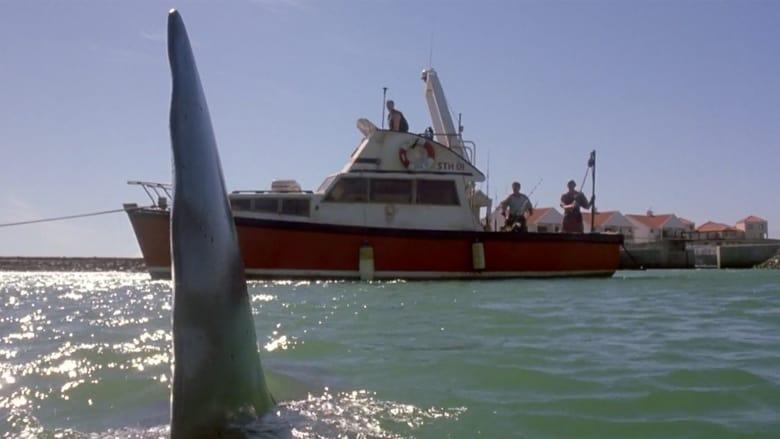 Shark Attack 2 image