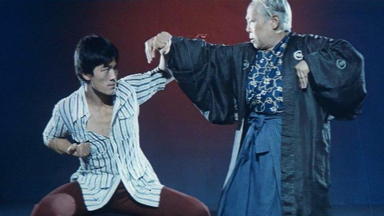 The Legend of Bruce Lee image