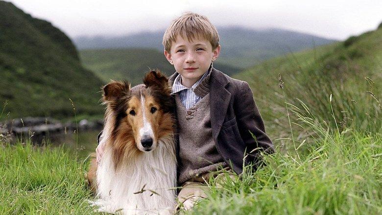 Lassie image