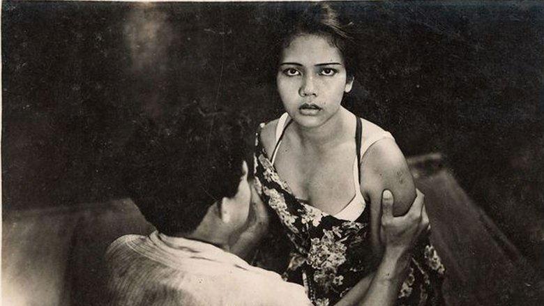 Siti Akbari image