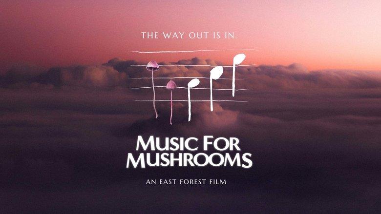 Music for Mushrooms image