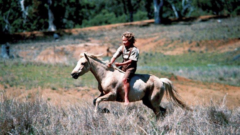 Ride a Wild Pony image