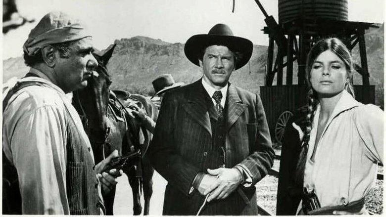 Wanted: The Sundance Woman image