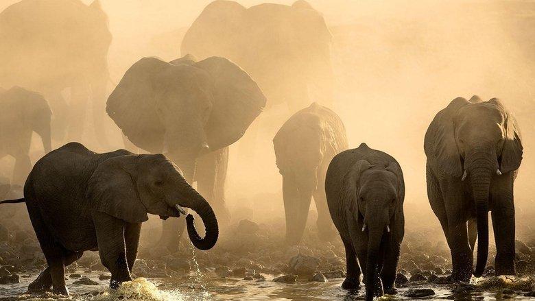 Life at the Waterhole image