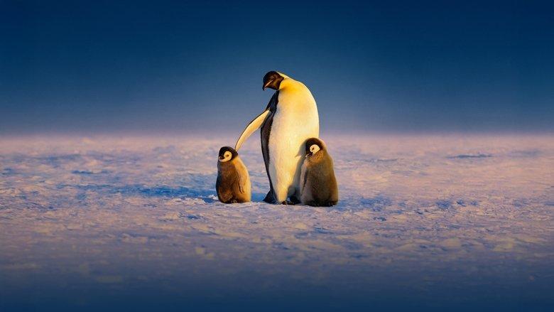 Secrets of the Penguins image