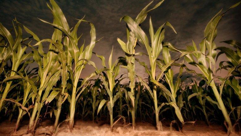 Children of the Corn: Revelation image