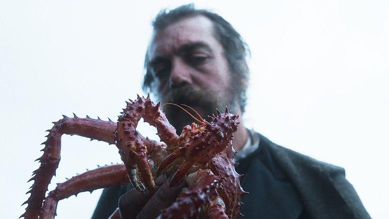 The Tale of King Crab image
