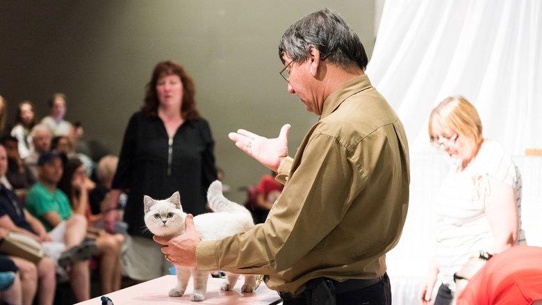 Catwalk: Tales from the Catshow Circuit image