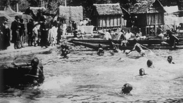 Baignade de nègres image