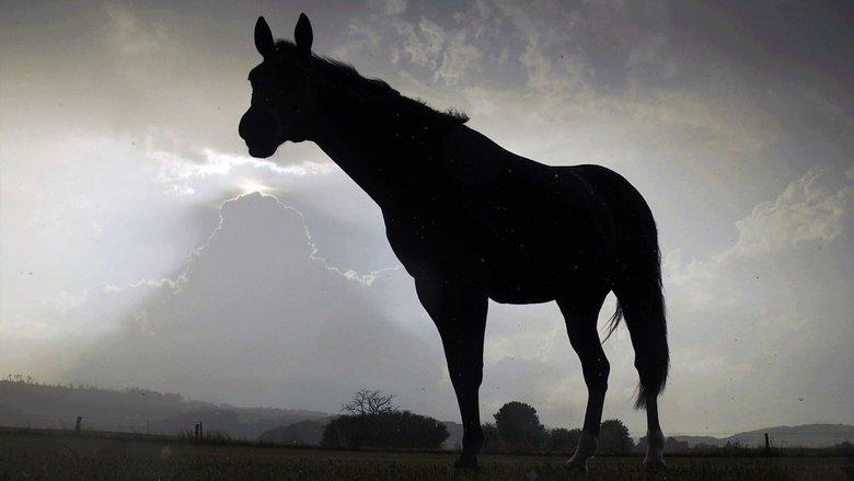 Der Sturm - Tiere bei Blitz und Donner image