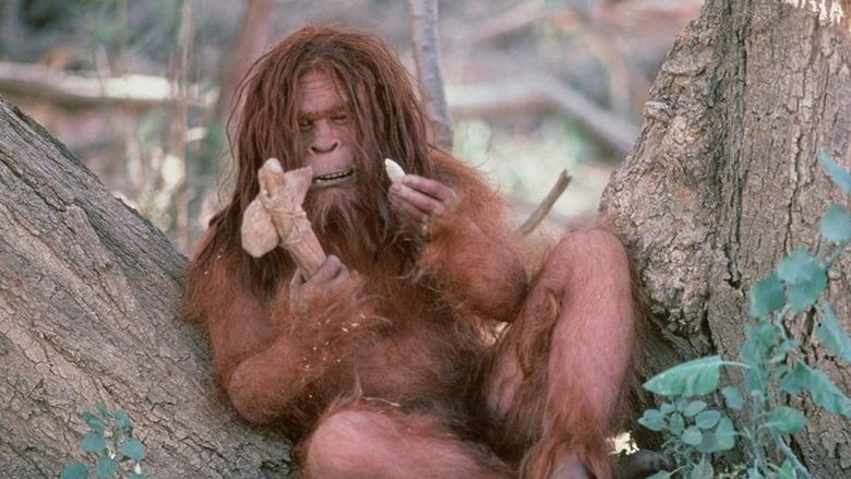 Missing Link image