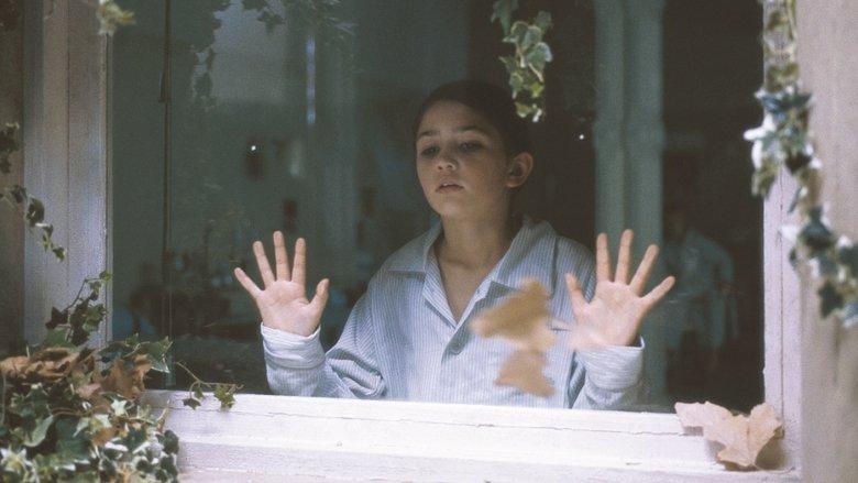Fragile image