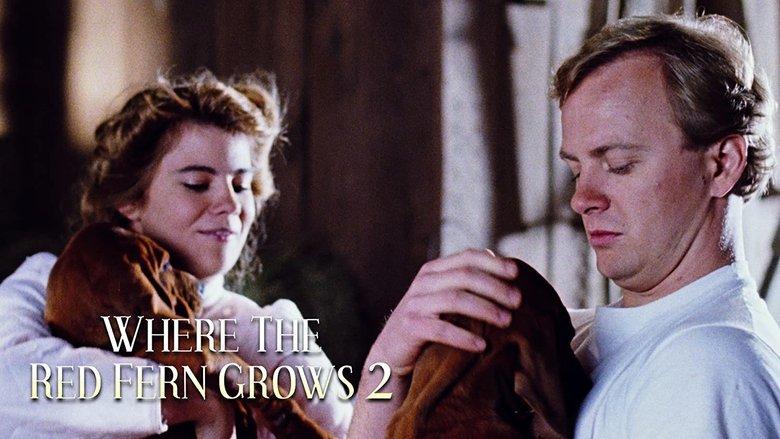 Where The Red Fern Grows Part 2 image