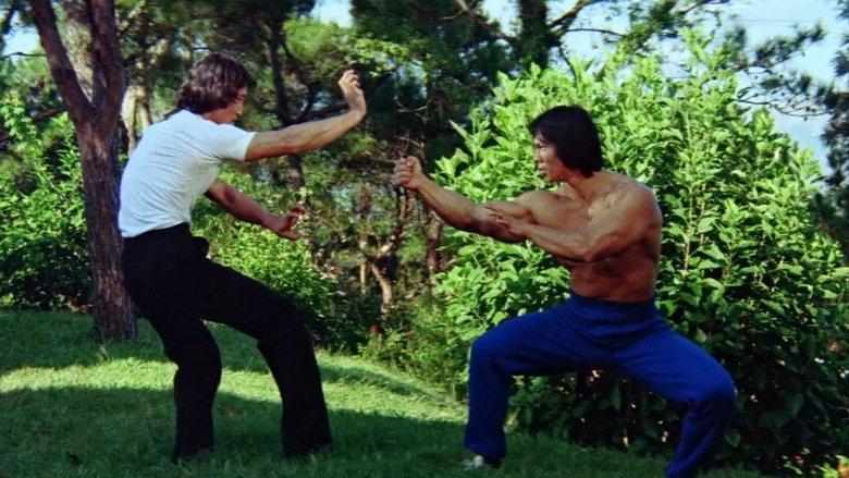 Bruce's Deadly Fingers image