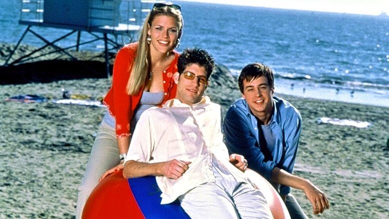 Spring Break Lawyer image