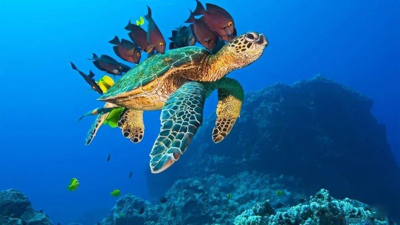 OceanWorld 3D image
