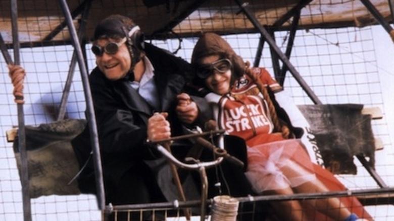 The Theory of Flight image