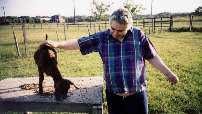 The Devil and Daniel Johnston image