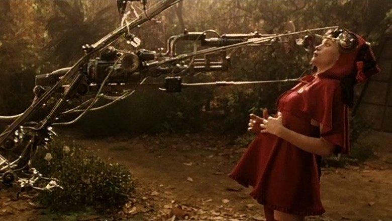 The Last Little Red Riding Hood image