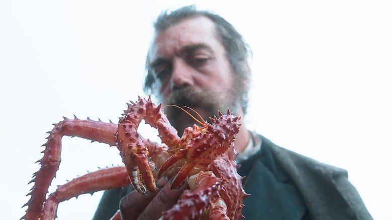 The Tale of King Crab image