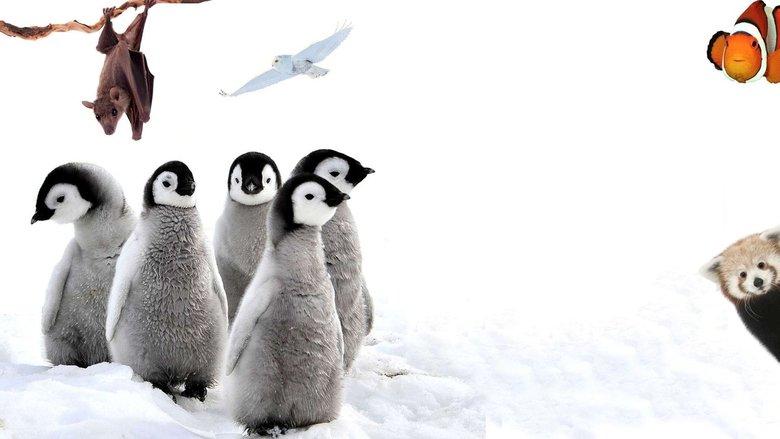 72 Cutest Animals image