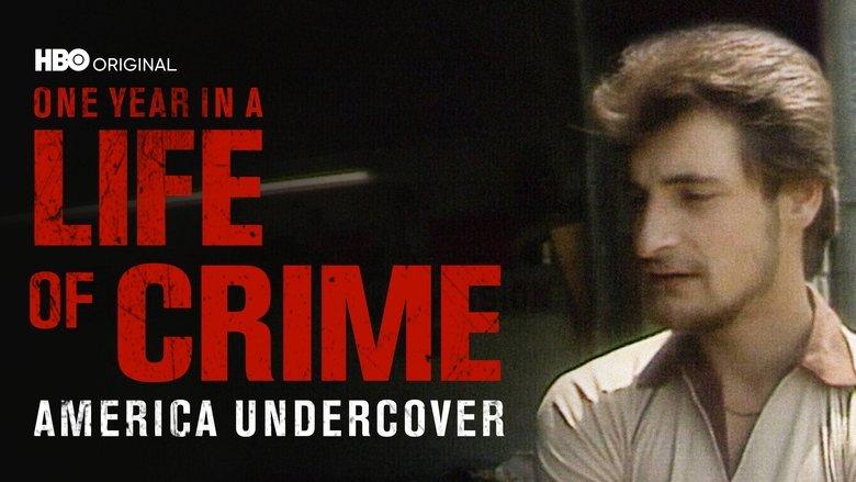 One Year in a Life of Crime image