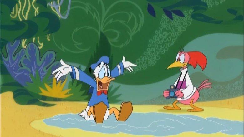 Bird Brained Donald image