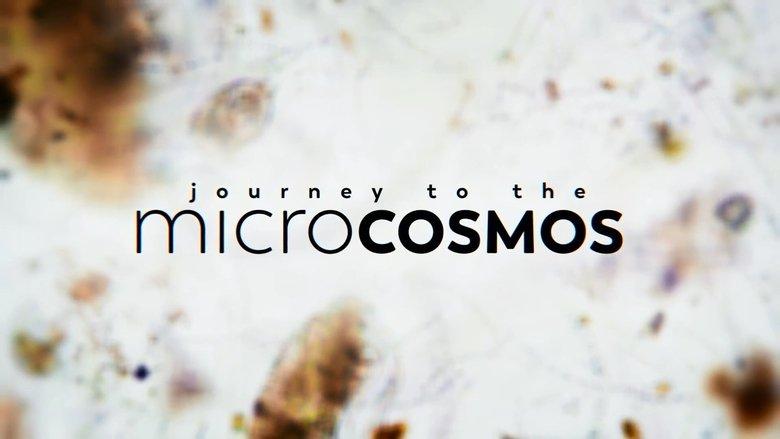 Journey to the Microcosmos image