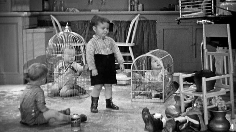 Forgotten Babies image