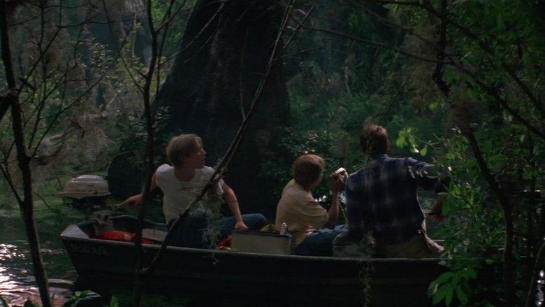 Wild America image