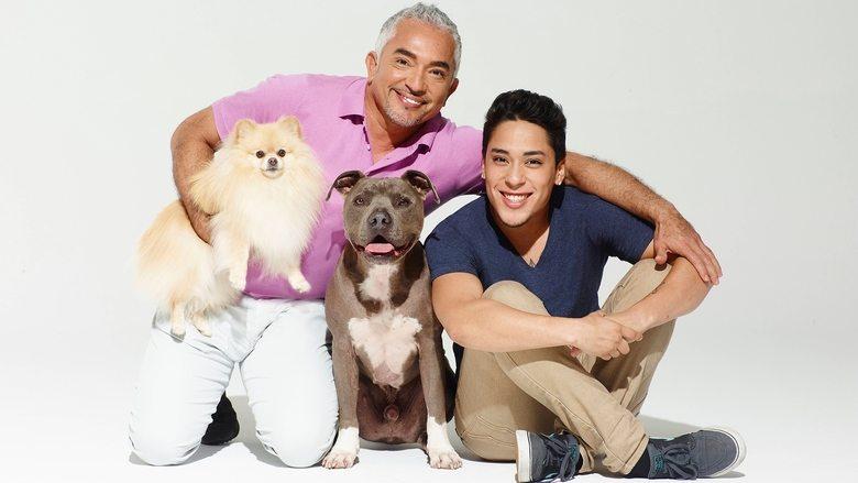 Cesar Millan's Dog Nation image