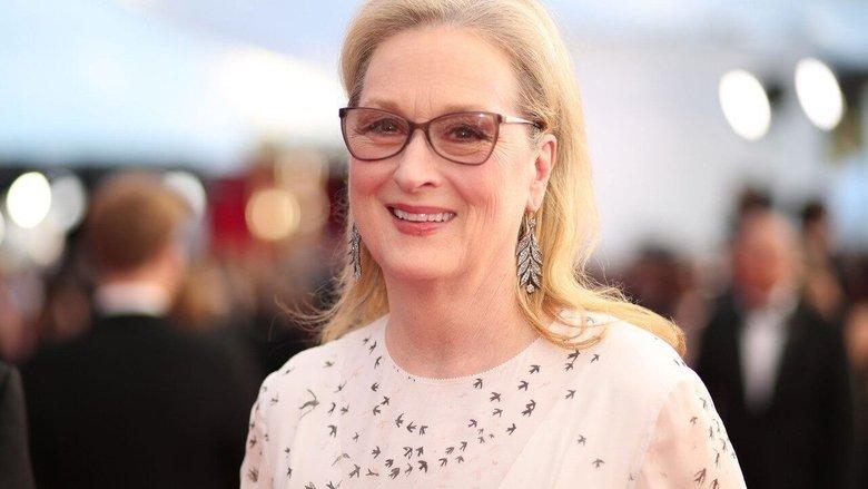 Meryl Streep: Mystery and Metamorphosis image
