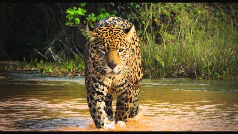 Colombia: Wild Magic image