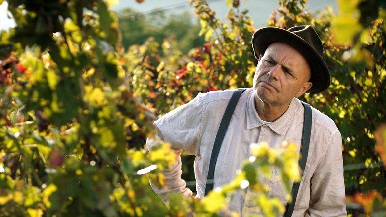 From the Vine image