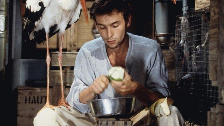 Comme une bête image