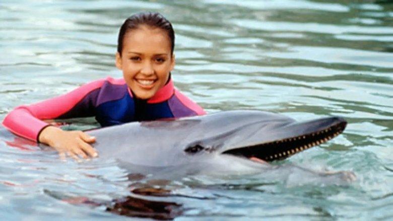Flipper image