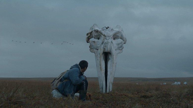 The Whaler Boy image