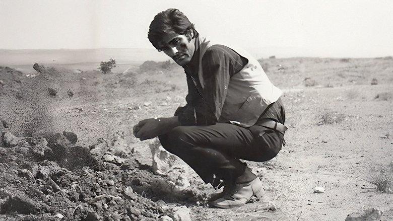 Dört Kabadayı image