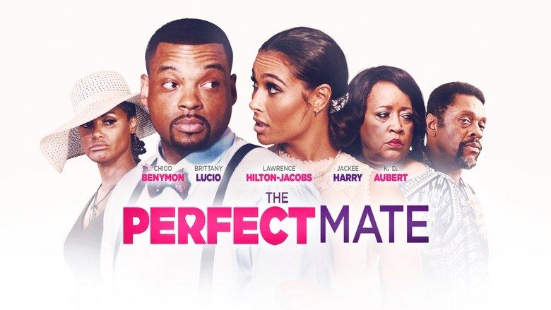 The Perfect Mate image