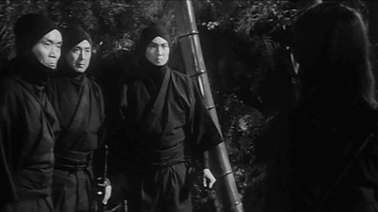Seventeen Ninja image