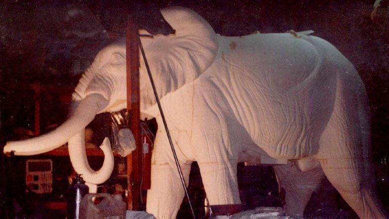 El elefante del rey image