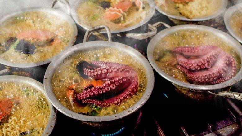 A Nation of Broth image