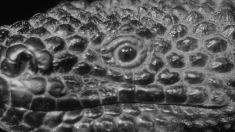 The Giant Gila Monster image